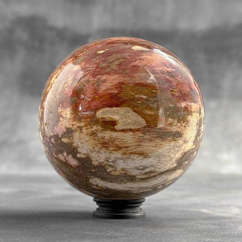 Beau bois pétrifié - Bois fossilisé - Sphere on a custom, Antiquités & Art, Art | Objets design