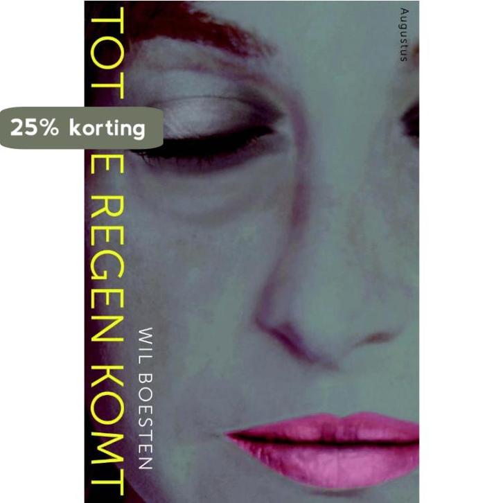 Tot de regen komt 9789045704579 Will Boesten, Boeken, Romans, Zo goed als nieuw, Verzenden