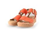 Gabor Sandalen in maat 38½ Oranje | 5% extra korting, Kleding | Dames, Schoenen, Verzenden, Gabor, Oranje, Sandalen of Muiltjes