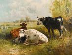 Henri Schouten (1857-1927) - Cows in a meadow, Antiquités & Art, Art | Peinture | Classique