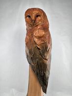 Federico Alibrio - Barn Owl - Amulet, Antiek en Kunst