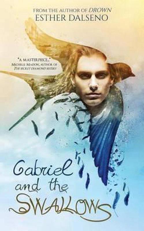 Gabriel and the Swallows 9781523388295 Esther Dalseno, Boeken, Taal | Engels, Gelezen, Verzenden