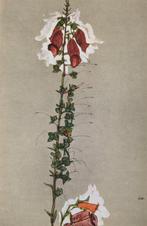 Egon Schiele (1890-1918) (after) - Roter Fingerhut (1910)