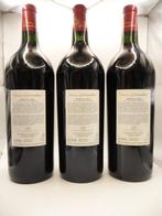 2016 Château dArmailhac - Pauillac Grand Cru Classé - 3, Nieuw