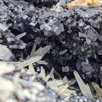 KUBIEKE GALENA en QUARTZ, Bulgarije, Honderden kristallen