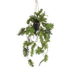 Kunstplant - Philodendron - Klimmende boomliefhebber - 80 cm, Huis en Inrichting, Nieuw