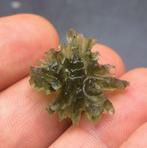 Moldavite de Besednice - Hérisson impressionnant !!! pièce, Verzamelen, Mineralen en Fossielen