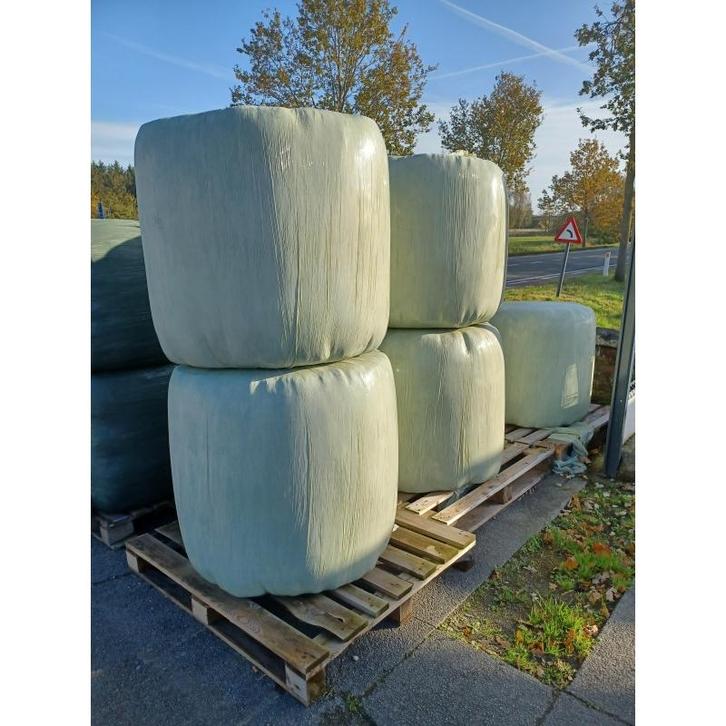 Balle ronde foin préfane ca. 150 kg - idéale pour chevaux,, Dieren en Toebehoren, Paarden en Pony's | Overige Paardenspullen