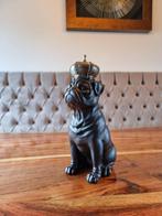 Beeld, Crowned Bulldog - 29 cm - Hars, Antiek en Kunst