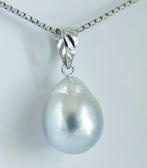 Sans prix de réserve - Pendentif - 18 carats Or blanc Perle