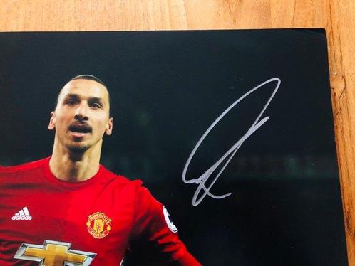 Manchester United - Zlatan Ibrahimovi - Photo officielle, Verzamelen, Overige Verzamelen