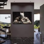 yamila - Batman: La Armadura de la Memoria, Nieuw