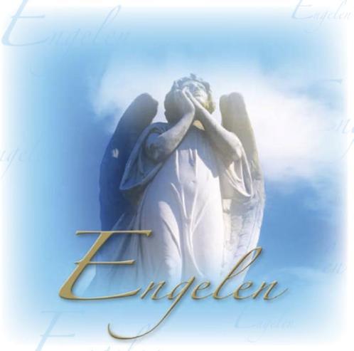 Engelen 9789055138739, Livres, Ésotérisme & Spiritualité, Envoi