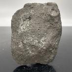 Koolstofhoudende chondriet CK5 NWA 14546 ZEER ZELDZAAM