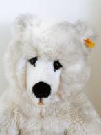 Steiff - Teddybeer XL Eisbär 45 cm - 2000-2010 - Duitsland
