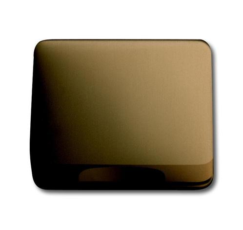 ABB Busch-Jaeger Bronze Transition Plate 50x50mm 1746-21-101, Bricolage & Construction, Électricité & Câbles, Envoi