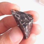 Seymchan meteoriet. Pallasiet - 19.7 g, Verzamelen, Mineralen en Fossielen