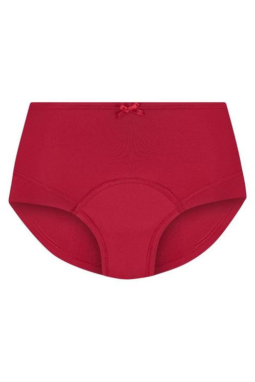 RJ Period Short La FlecheXL=44-46Maat 42/44 (L), Kleding | Dames, Ondergoed en Lingerie, Overige kleuren, Verzenden