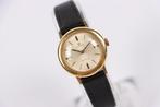 Omega - De Ville 18k gold - Sans Prix de Réserve - 511262 -, Nieuw