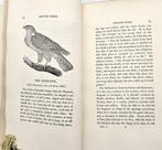 Bewick - A History of British Birds - 1805