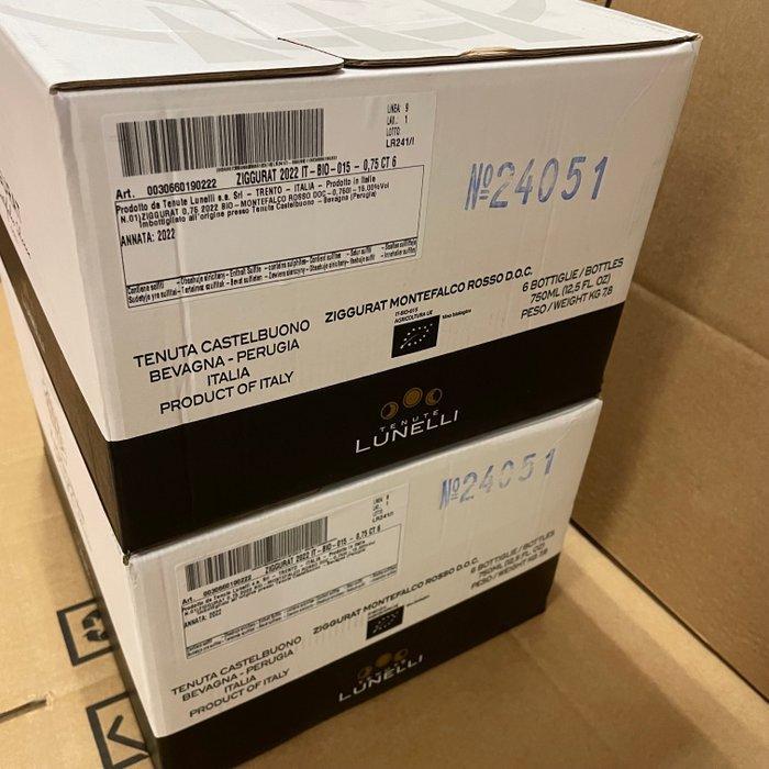 2023 Ferrari Tenute Lunelli, Ziggurat - Umbrië DOC - 12, Collections, Vins