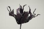 Cactus Ziggo Dark Purple Foam, Hobby en Vrije tijd, Knutselen, Nieuw