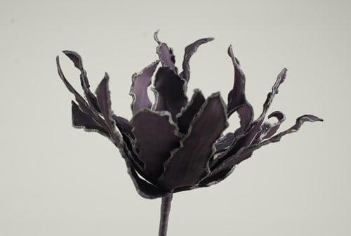 Cactus Ziggo Dark Purple Foam, Hobby en Vrije tijd, Knutselen, Nieuw