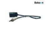 Lambda Sonde MV Agusta Brutale 800 2013-2020, Motoren, Verzenden, Gebruikt
