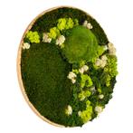 Mosschilderij Rond 100 cm Ongelakt Eiken - Floro, Verzenden, Nieuw