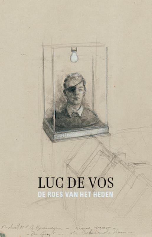 De roes van het heden 9789025446048 Luc De Vos, Livres, Romans, Envoi
