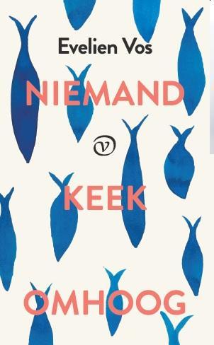 Niemand keek omhoog 9789028282254 Evelien Vos, Boeken, Romans, Zo goed als nieuw, Verzenden