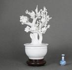 Plum blossom trees in nicely formed jardinière - Porselein -