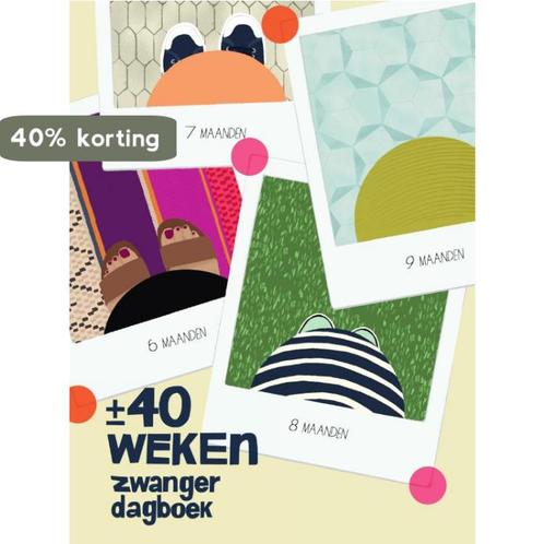 +/- 40 weken zwanger dagboek 9789000357628 Kate Pocrass, Boeken, Stripverhalen, Gelezen, Verzenden