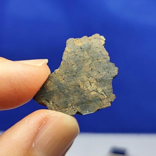 Uniquement 460 g dans le monde - tranche dureilite -, Verzamelen, Mineralen en Fossielen
