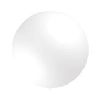 Witte Reuze Ballon 60cm, Verzenden, Nieuw