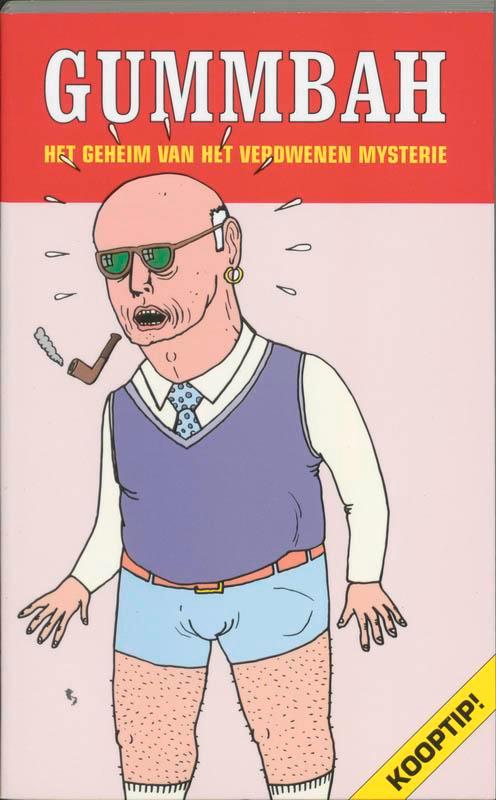 Het geheim van het verdwenen mysterie 9789080348165 Gummbah, Boeken, Stripverhalen, Gelezen, Verzenden