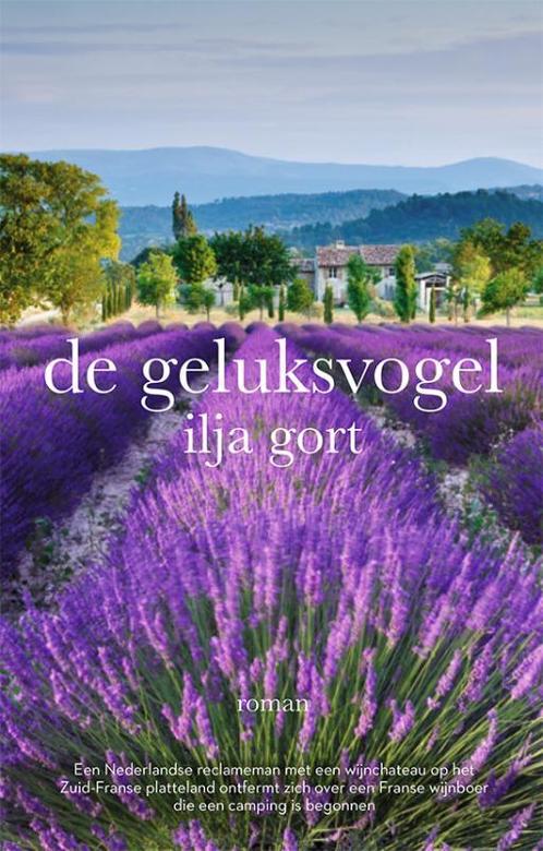 De geluksvogel 9789082701548 Ilja Gort, Boeken, Romans, Zo goed als nieuw, Verzenden