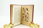 Buffon - Œuvres Complètes de Buffon : Oiseaux - 1835