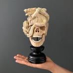 Snijwerk, NO RESERVE PRICE - Tamarind Wood Skull with Carved
