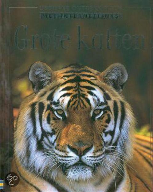 Grote katten / Usborne ontdekkingen 9789054572084, Boeken, Overige Boeken, Zo goed als nieuw, Verzenden