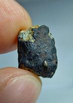 Meteoriet: El Menia L5, waargenomen val in 2023. Super vers