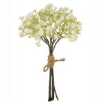 Gipskruid dry color cream 29cm bundel  voor corsage of, Nieuw