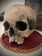 macabre secret lavoratory - Beeld, Memento Mori sanctum - 16, Antiek en Kunst