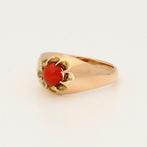 Ring - 18 karaat Geel goud - 0.13ct. tw. Bloedkoraal, Nieuw