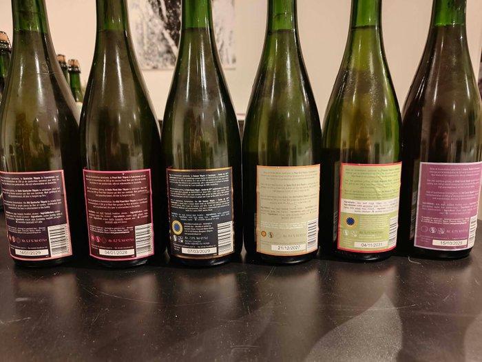 Tilquin - Oude Gueuze 10-jaar jubileum 2019, Oude Pinot Noir, Verzamelen, Wijnen