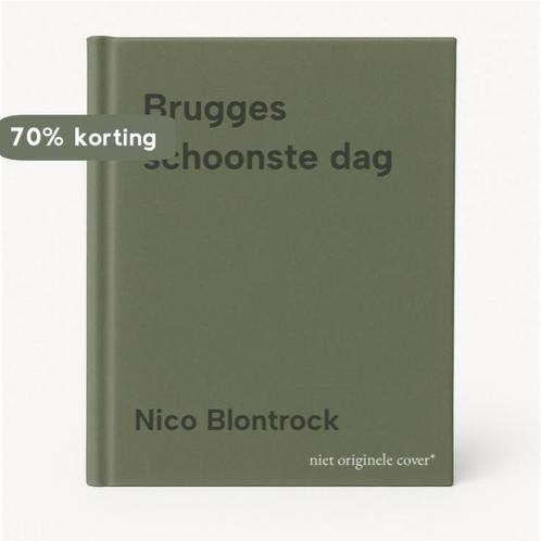 Brugges schoonste dag 9789461680495 Nico Blontrock, Boeken, Reisgidsen, Zo goed als nieuw, Verzenden