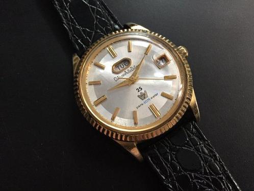 Citizen - AutoDater Parawater Automatic Day/Date - Sans Prix, Handtassen en Accessoires, Horloges | Heren