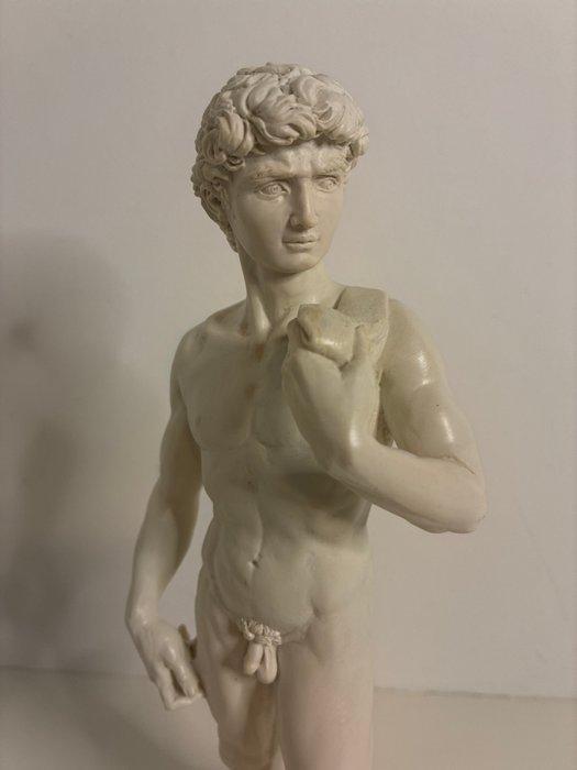Parastone - DAprès Michelangelo - sculptuur, MIC04 - David, Antiek en Kunst, Curiosa en Brocante