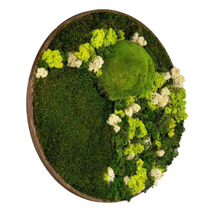 Mosschilderij Rond 60 cm Donker Eiken - Floro, Huis en Inrichting, Woonaccessoires | Lijsten, Verzenden