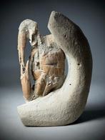 Crabe fossile 3D exceptionnel - Carapace fossilisée -